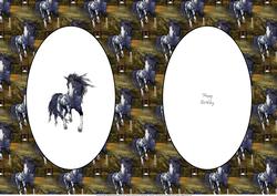 Wild Horse Birthday Insert