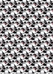 Panda Plushie 1 Background