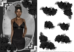 Ethnic Lady in an Elegant Black Dress and Roses