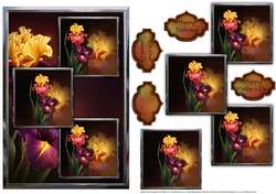 Welcome Spring Iris Three Square Quick Card
