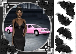 Ethnic Lady in an Elegant Black Dress, Pink Limousine and Roses 5