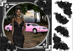 Ethnic Lady in an Elegant Black Dress, Pink Limousine and Roses 6