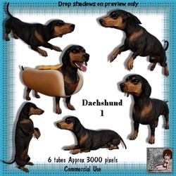 6 Dachshund Dog Poser Tubes 1