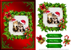 Cat And Dog Christmas Card Front Red 1