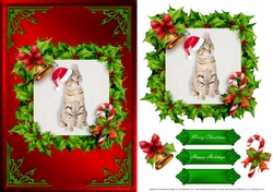 Cat Christmas Card Front Red 1