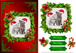 Cats Christmas Card Front Red 1