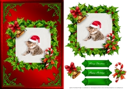 Kitten Christmas Card Front Red 1