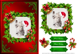 Kitten Christmas Card Front Red 2