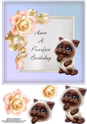 Purrfect Birthday Cat Card 2