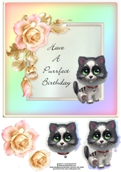 Purrfect Birthday Cat Card 3