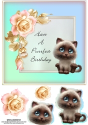 Purrfect Birthday Cat Card 4