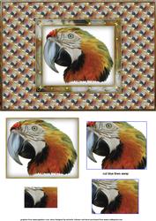 Parrot Quick Card Front with Pyramage