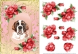 St Bernard Dog And Roses Card Front