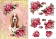 Bassett Hound Dog And Roses Card Front