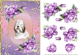 Old English Sheepdog Dog And Roses Card Front