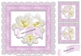 7.5 x 7.5 Inch Sympathy Lilies Card Front 5