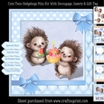 Cute Twin Boy Hedgehogs Mini Kit
