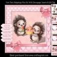Cute Twin Girl Hedgehogs Mini Kit