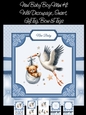 New Baby Boy Stork Mini Kit