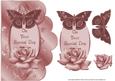 Special Day Blush Rose and Butterfly Scalloped Edge Card