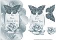 Special Day Silver Rose and Butterfly Scalloped Edge Card