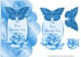 Special Day Blue Rose and Butterfly Scalloped Edge Card