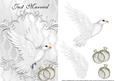 White Dove Hers & Hers Gold Just Married Card Front