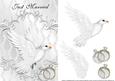 White Dove Hers & Hers Gold and Plat Just Married Card Front