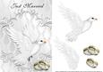 White Dove His & His Gold Just Married Card Front