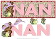 Nan Country Bear Large Dl Card
