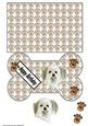 Mans Best Friend Bone Shaped Card