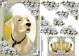 Blonde Labrador Card Front with Gift Tag