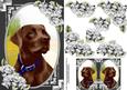 Chocolate Labrador Card Front with Gift Tag