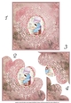 English Rose Garden Shell Edge Corner Stacker Card