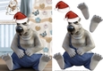 Merry Christmas From Snuggles The Polar Bear Card Front