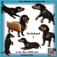 6 Dachshund Dog Poser Tubes 1