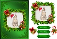 Cat Christmas Card Front Green 1
