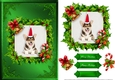 Puppy Christmas Card Front Green 4
