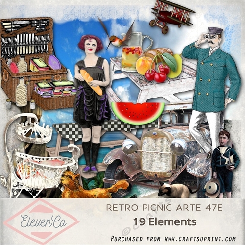 Retro Picnic Arte47-e