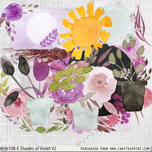 Shades of Violet Arte108-E V1