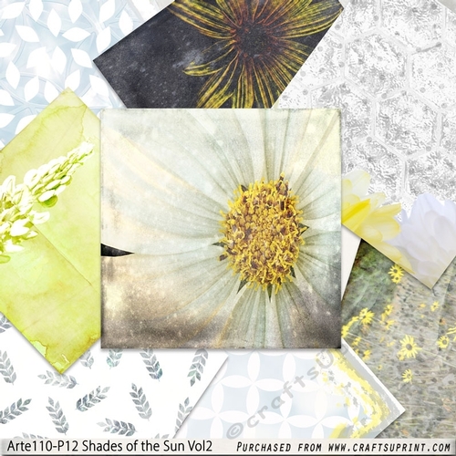 Shades of the Sun Arte110-p12 Vol 2