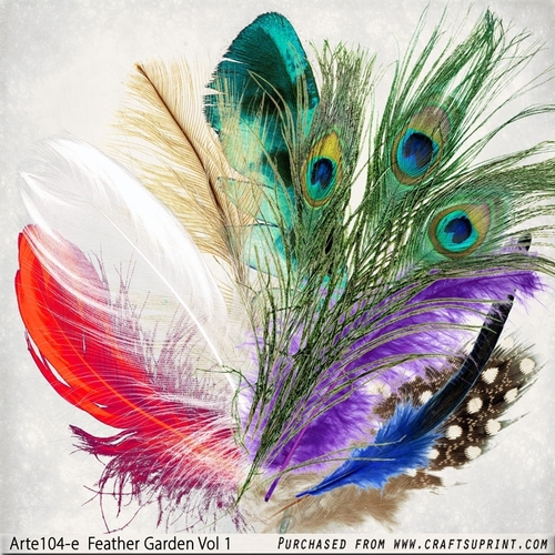 Feather Garden Vol1 Arte104-e Vol 1