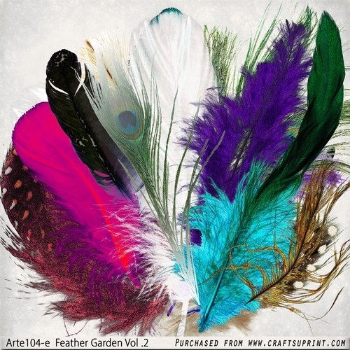 Feather Garden Vol1 Arte104-e Vol 2