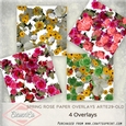 Spring Rose Paper Overlays Arte29-OLd