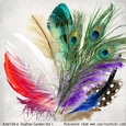 Feather Garden Vol1 Arte104-e Vol 1