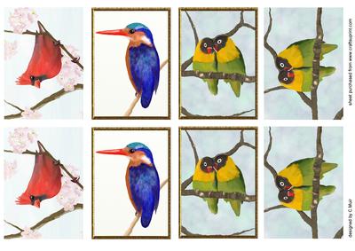 Birds Original Artwork Atcs