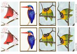 Birds Original Artwork Atcs
