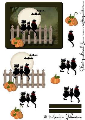 Halloween Cats on Fence