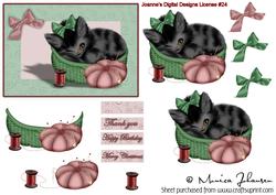 Cat in a Basket