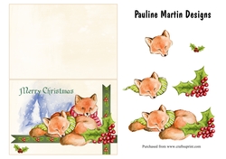 Cosy Foxes